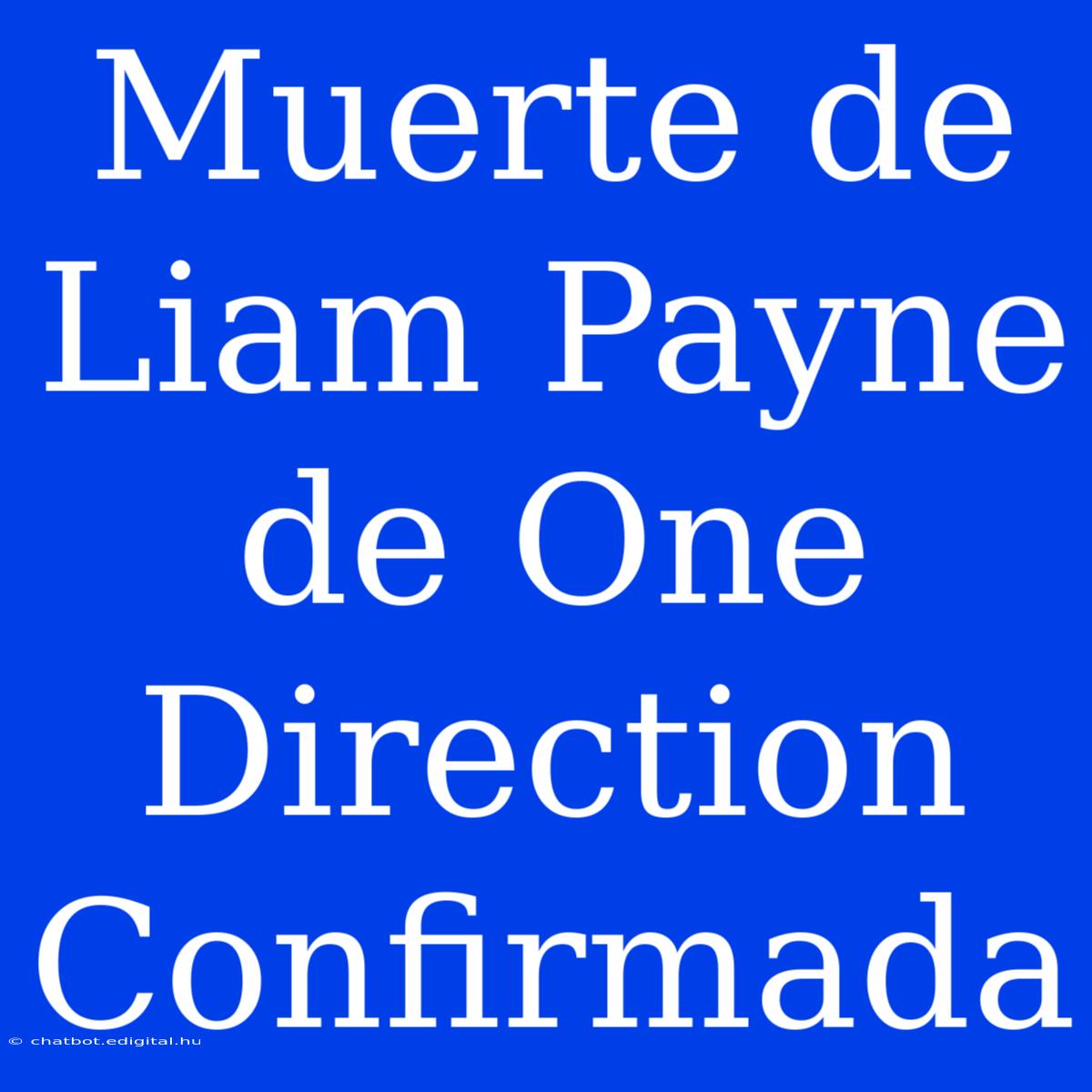 Muerte De Liam Payne De One Direction Confirmada