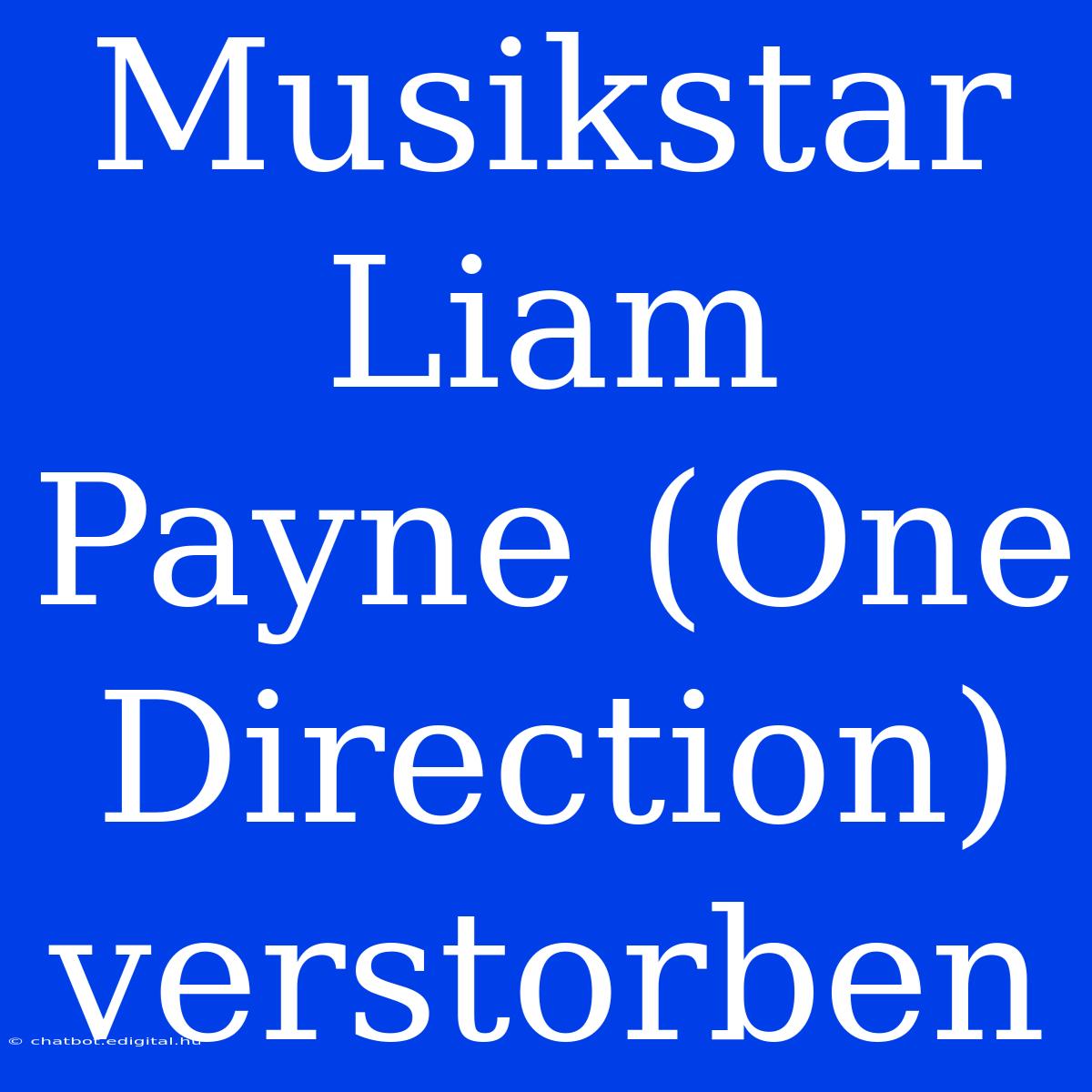 Musikstar Liam Payne (One Direction) Verstorben