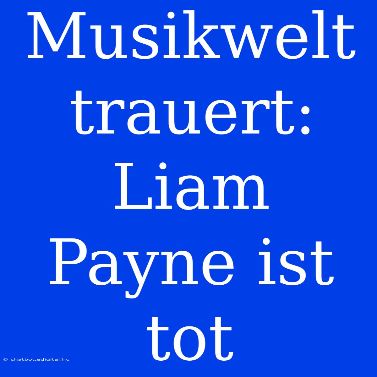 Musikwelt Trauert: Liam Payne Ist Tot