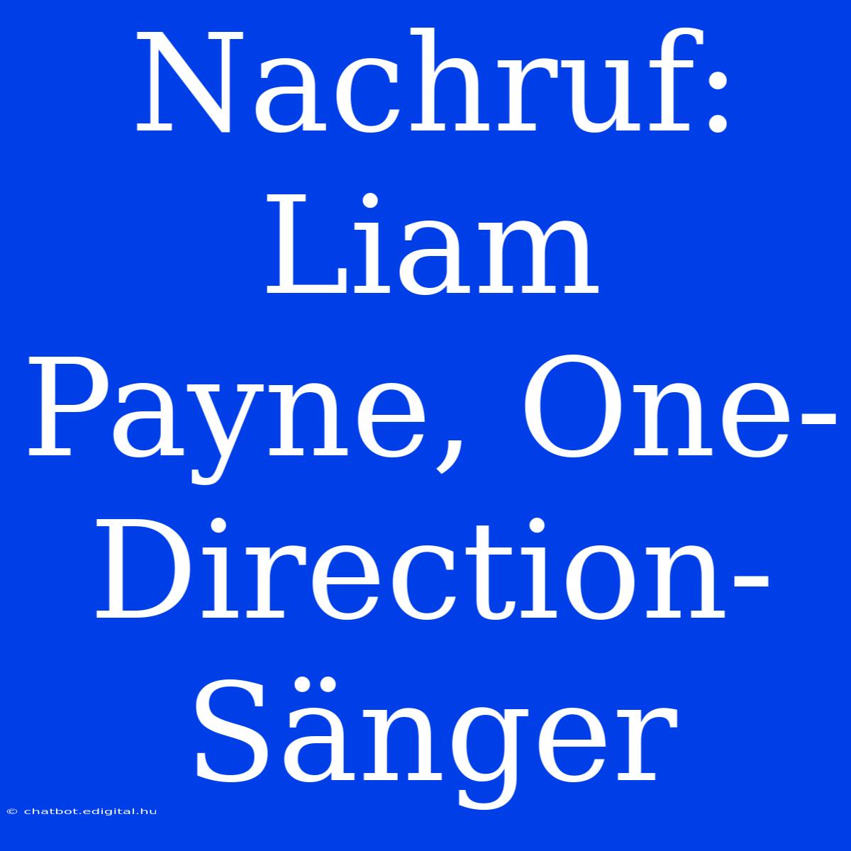 Nachruf: Liam Payne, One-Direction-Sänger