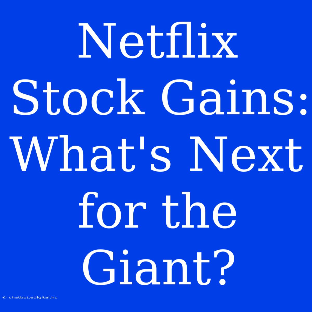 Netflix Stock Gains:  What's Next For The Giant?