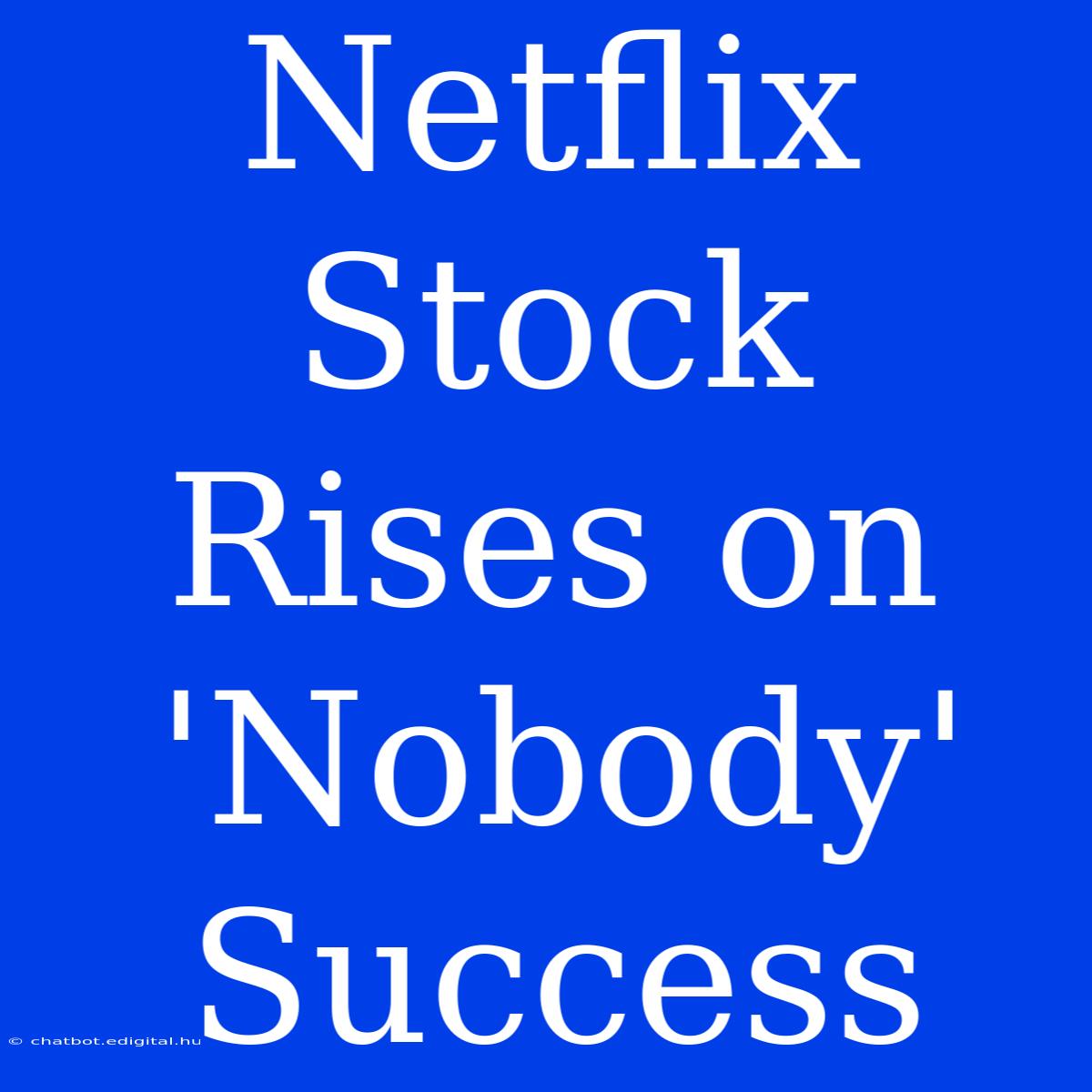 Netflix Stock Rises On 'Nobody' Success