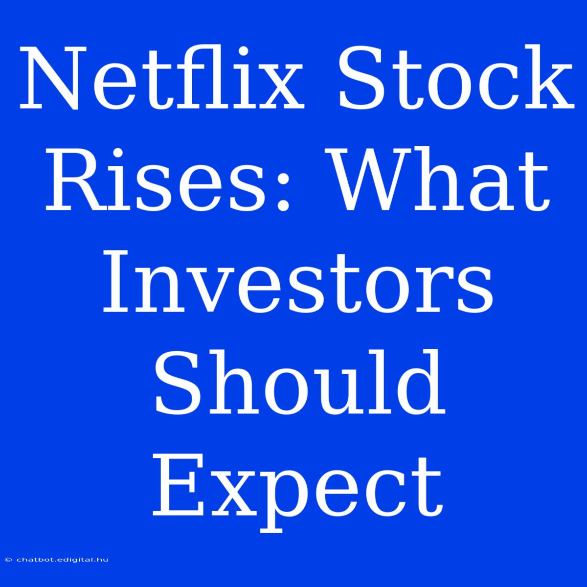 Netflix Stock Rises: What Investors Should Expect