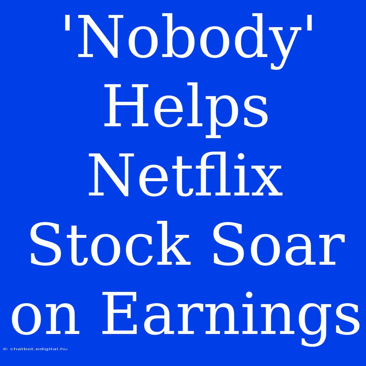 'Nobody' Helps Netflix Stock Soar On Earnings 