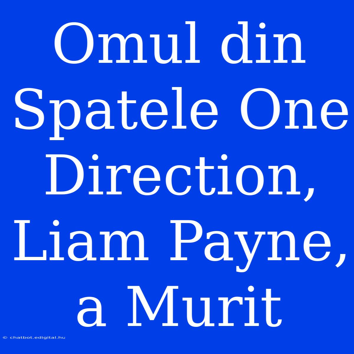 Omul Din Spatele One Direction, Liam Payne, A Murit