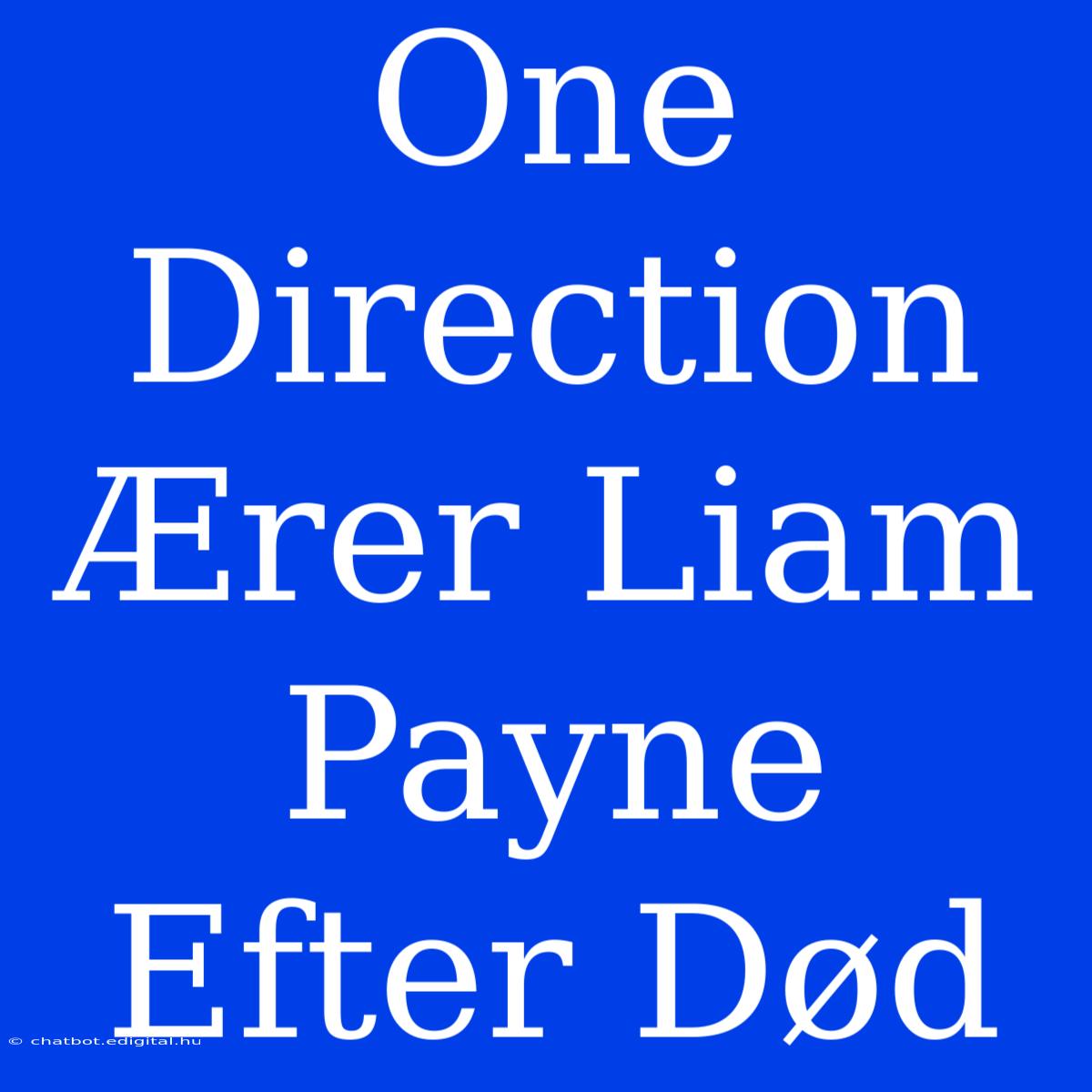 One Direction Ærer Liam Payne Efter Død