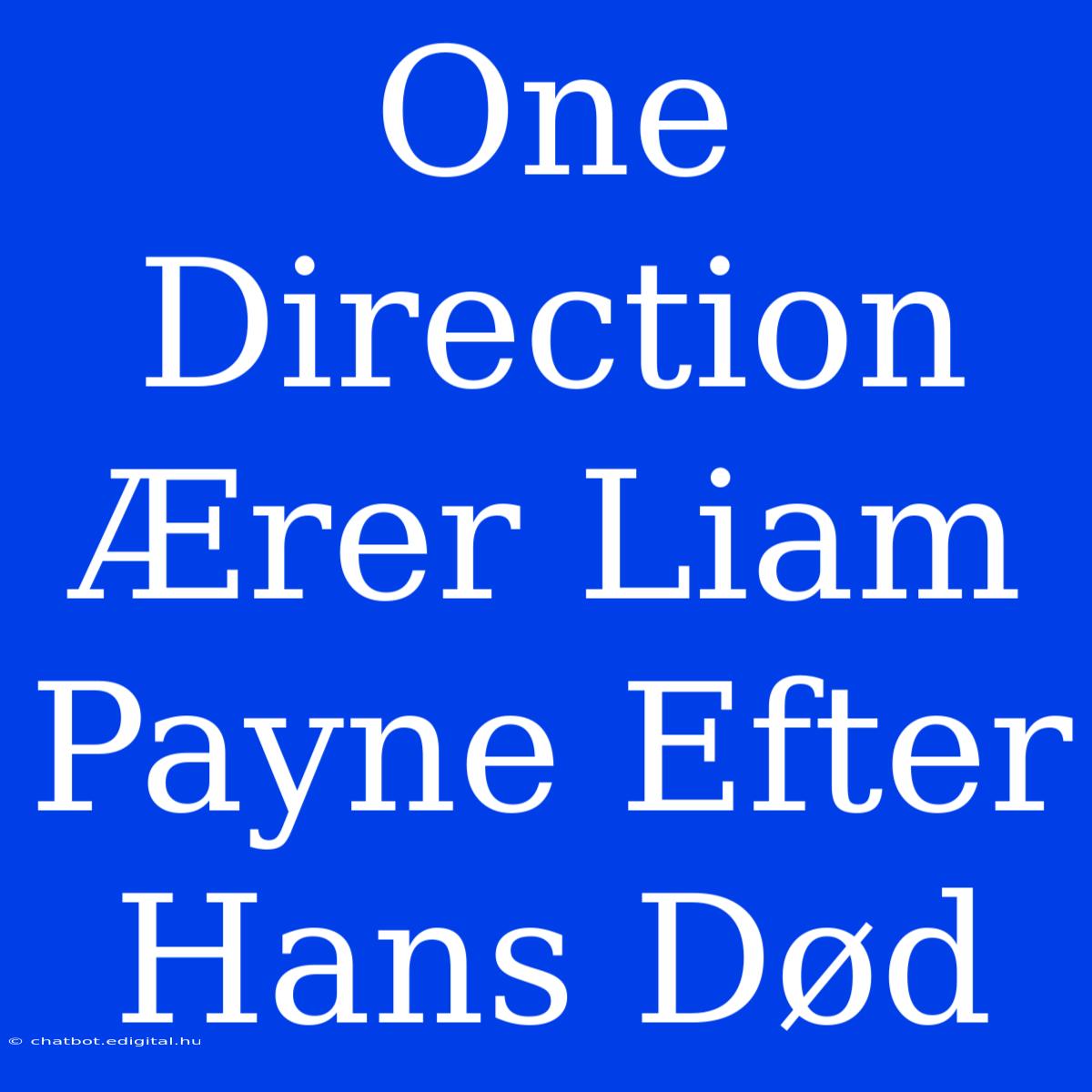 One Direction Ærer Liam Payne Efter Hans Død