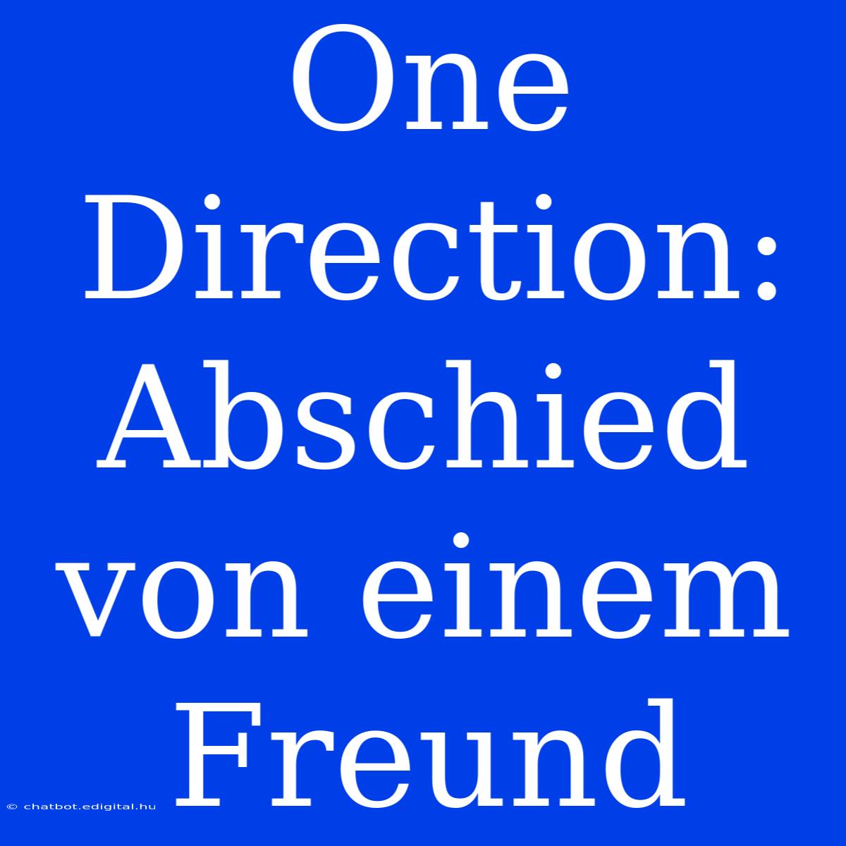 One Direction:  Abschied Von Einem Freund