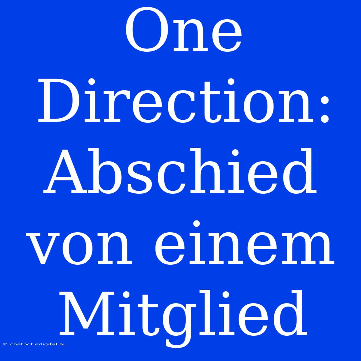 One Direction: Abschied Von Einem Mitglied