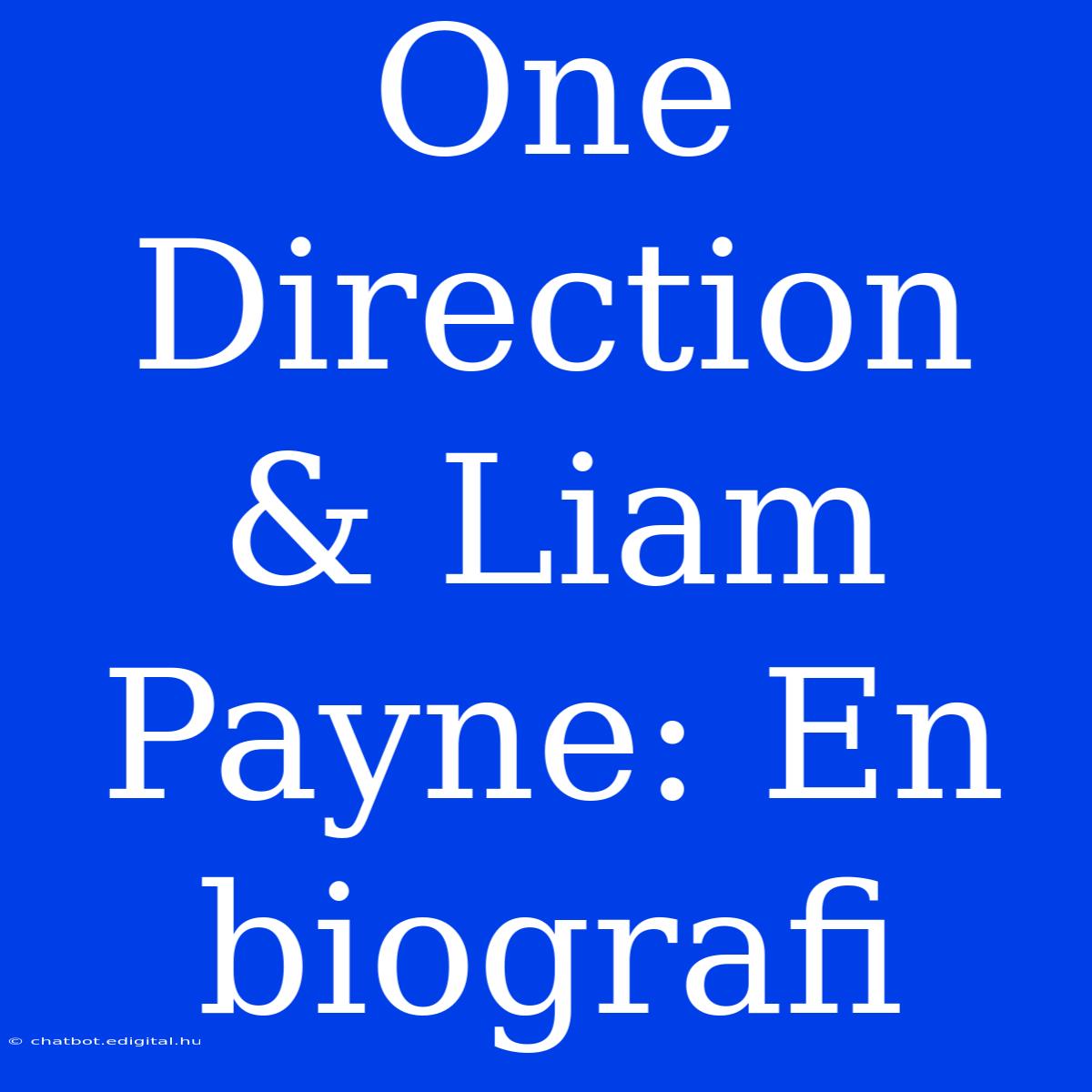 One Direction & Liam Payne: En Biografi 