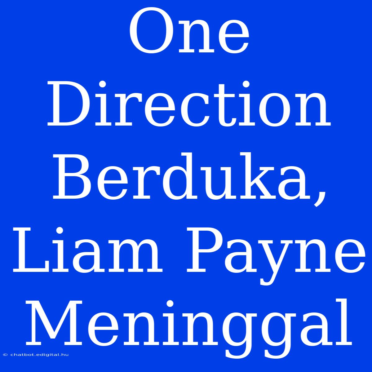 One Direction Berduka, Liam Payne Meninggal 