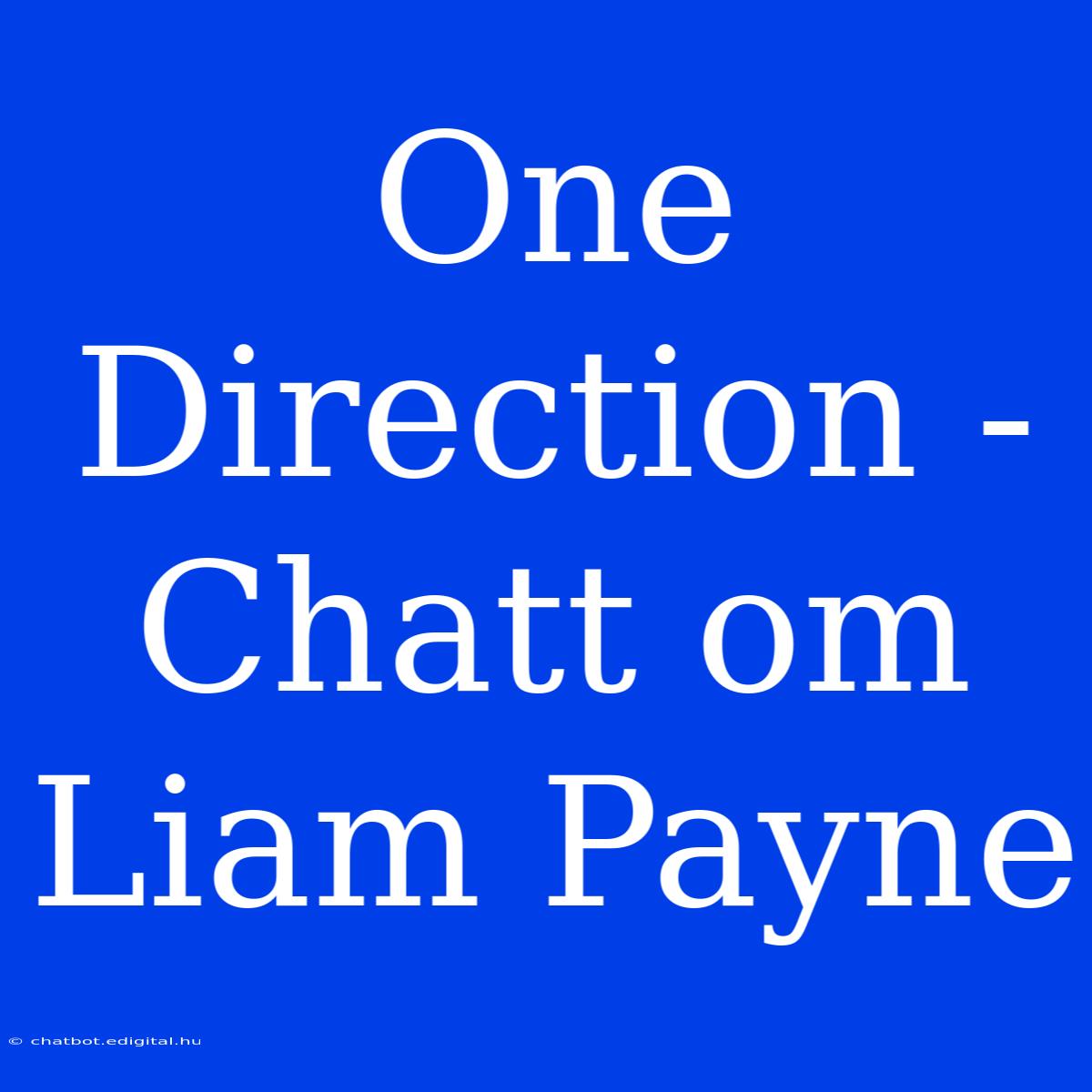 One Direction - Chatt Om Liam Payne