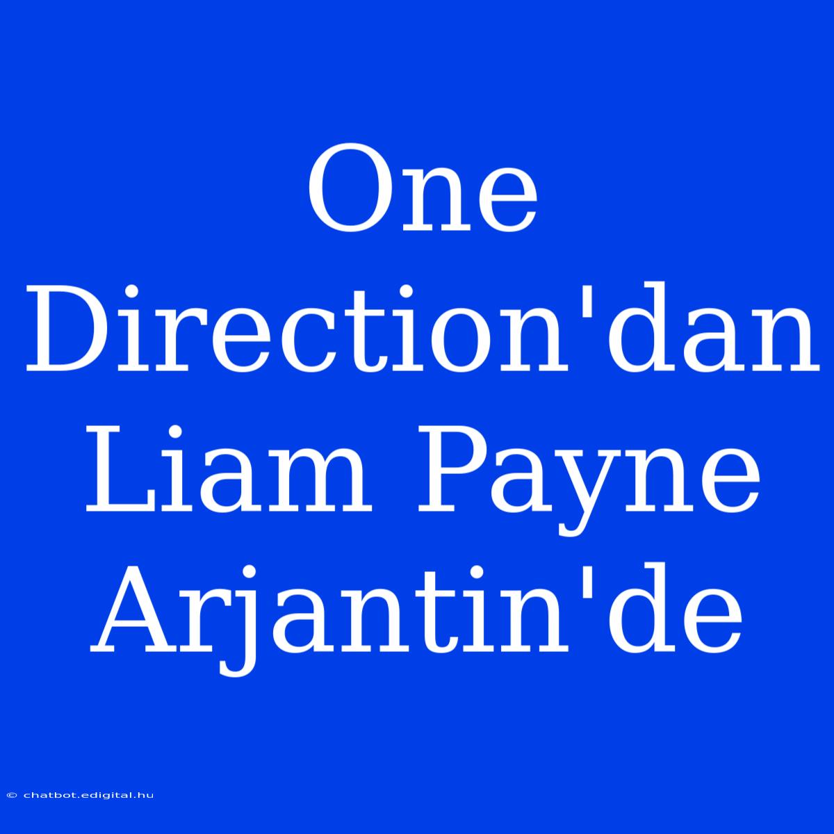 One Direction'dan Liam Payne Arjantin'de