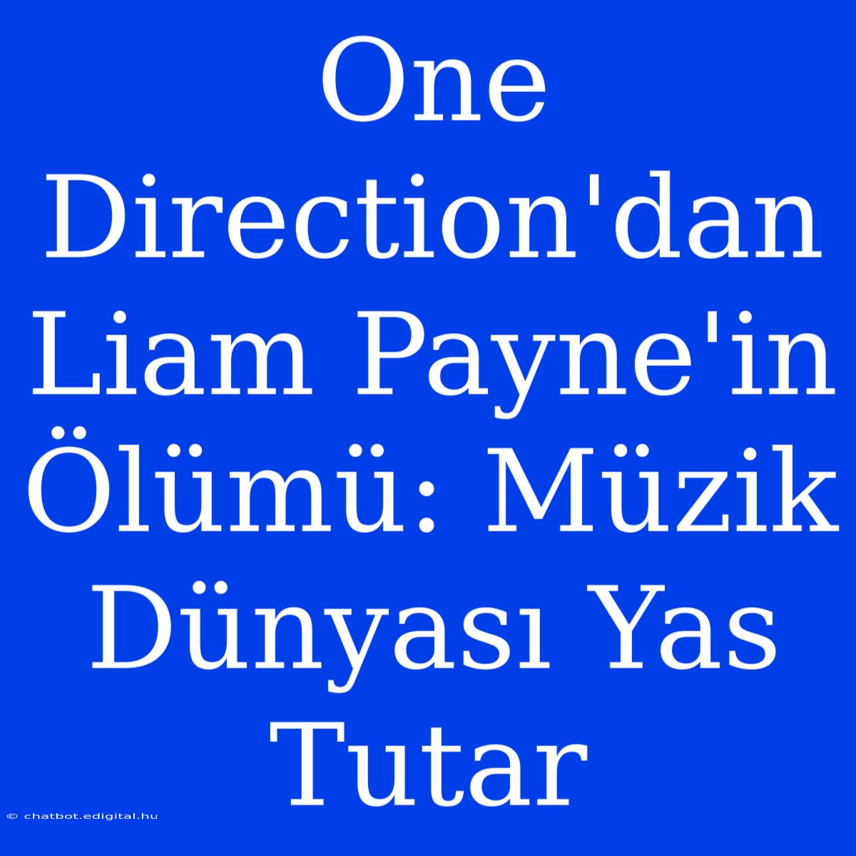 One Direction'dan Liam Payne'in Ölümü: Müzik Dünyası Yas Tutar