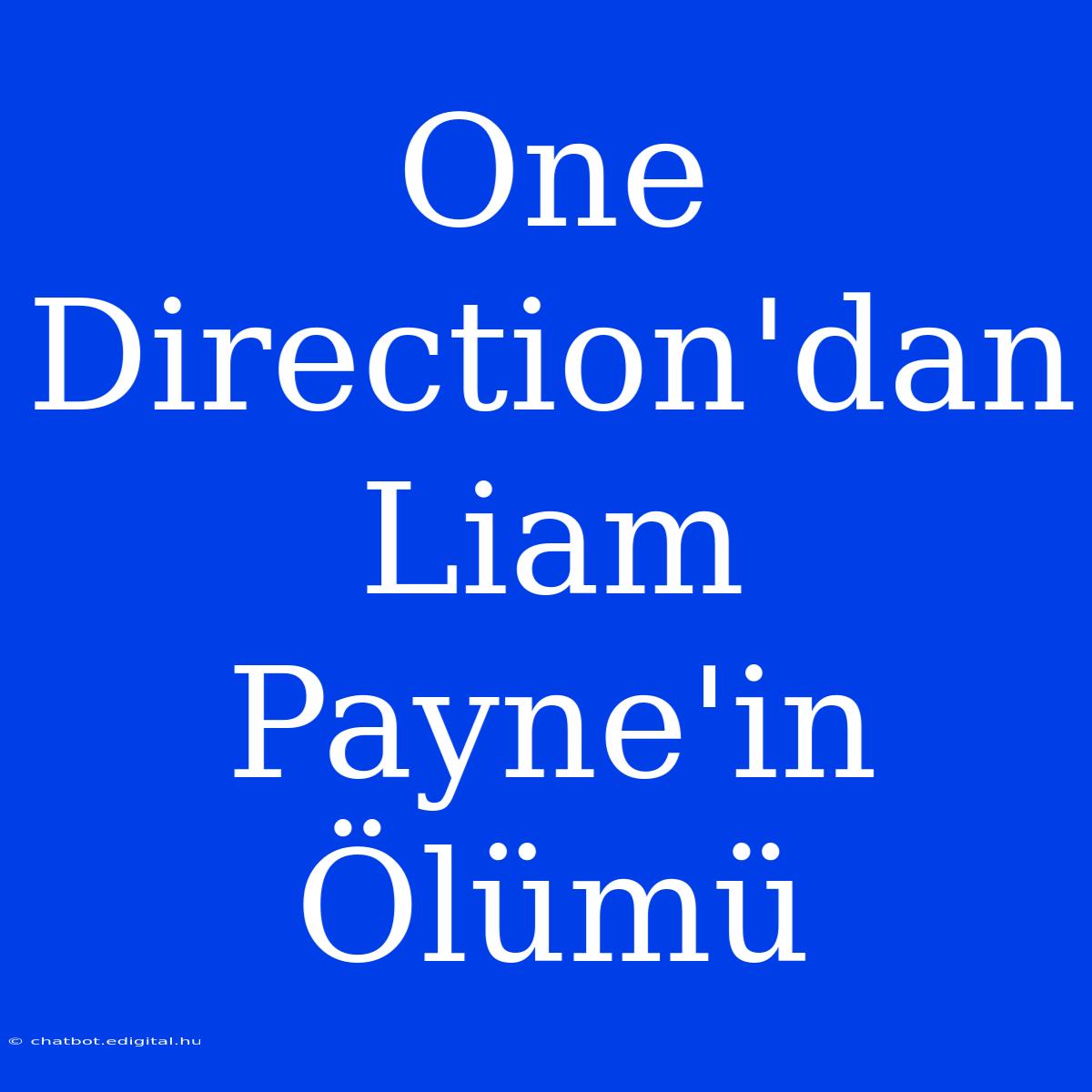 One Direction'dan Liam Payne'in Ölümü