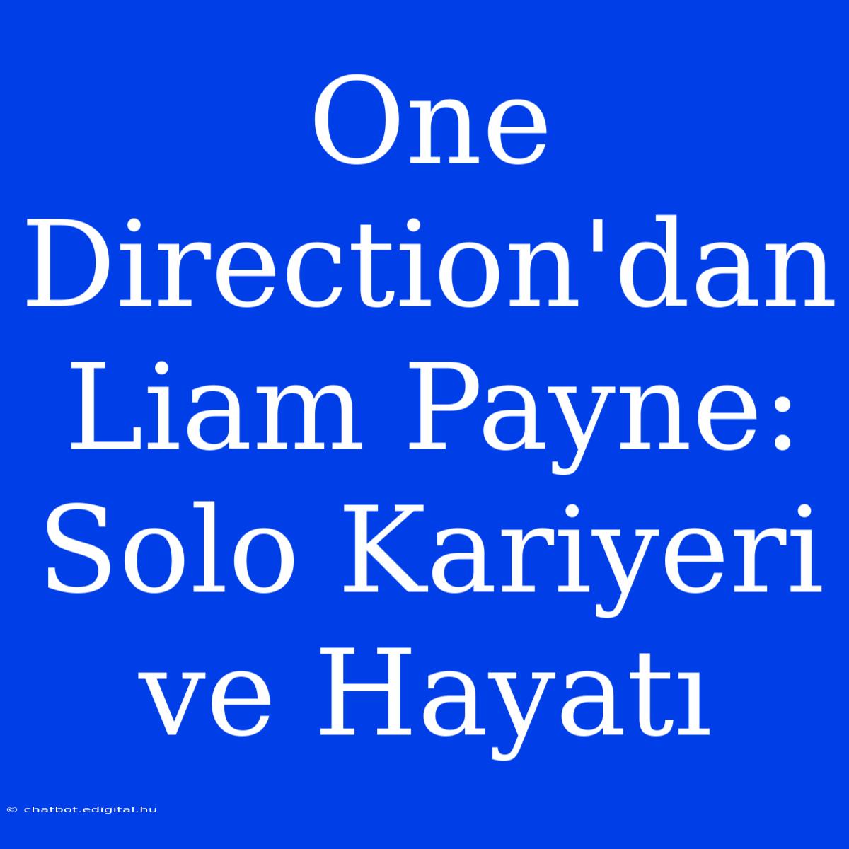 One Direction'dan Liam Payne: Solo Kariyeri Ve Hayatı