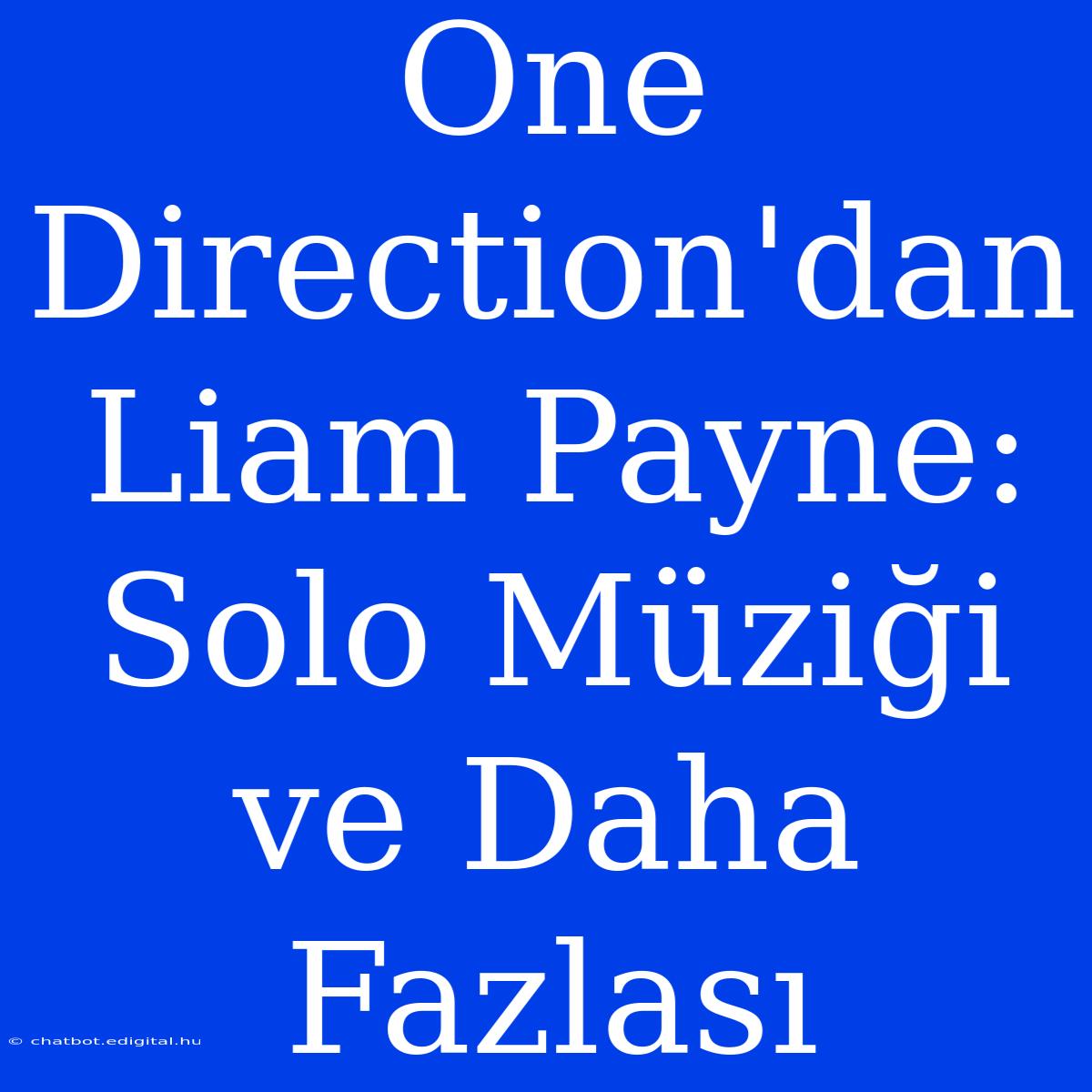 One Direction'dan Liam Payne: Solo Müziği Ve Daha Fazlası