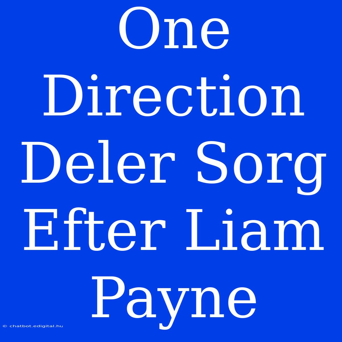 One Direction Deler Sorg Efter Liam Payne