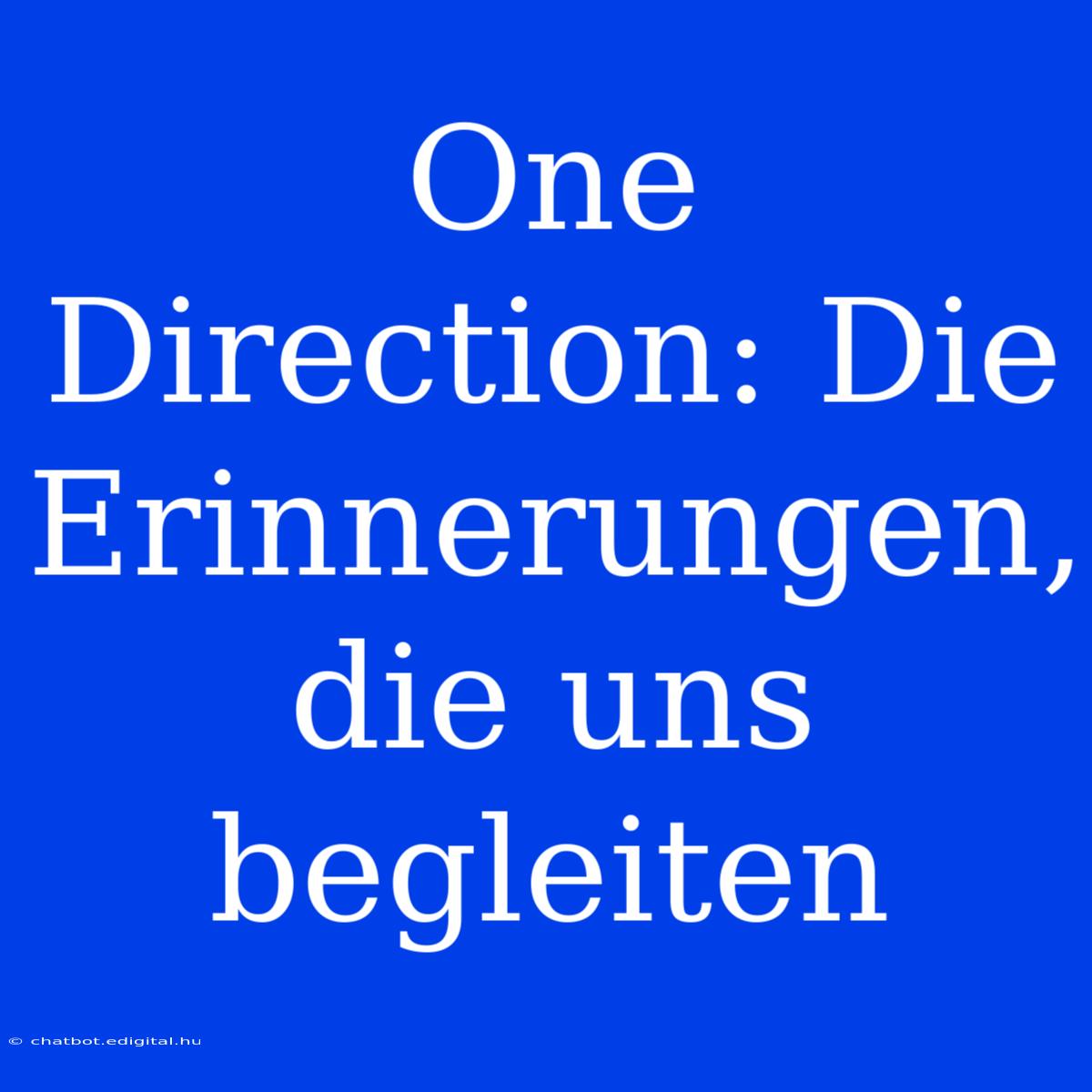 One Direction: Die Erinnerungen, Die Uns Begleiten