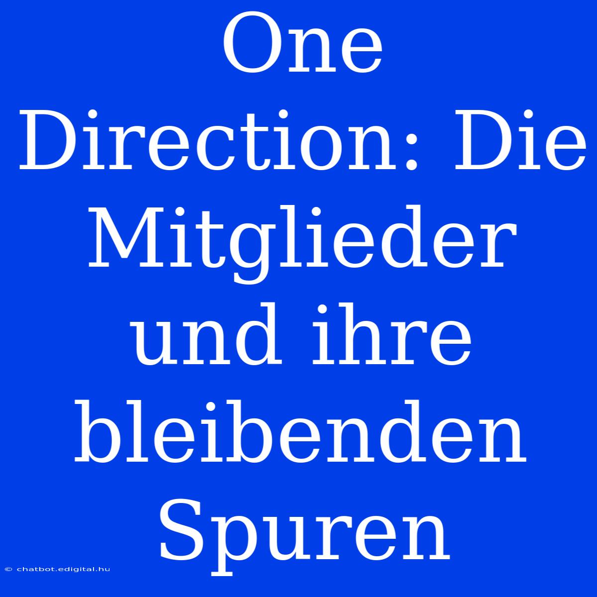 One Direction: Die Mitglieder Und Ihre Bleibenden Spuren