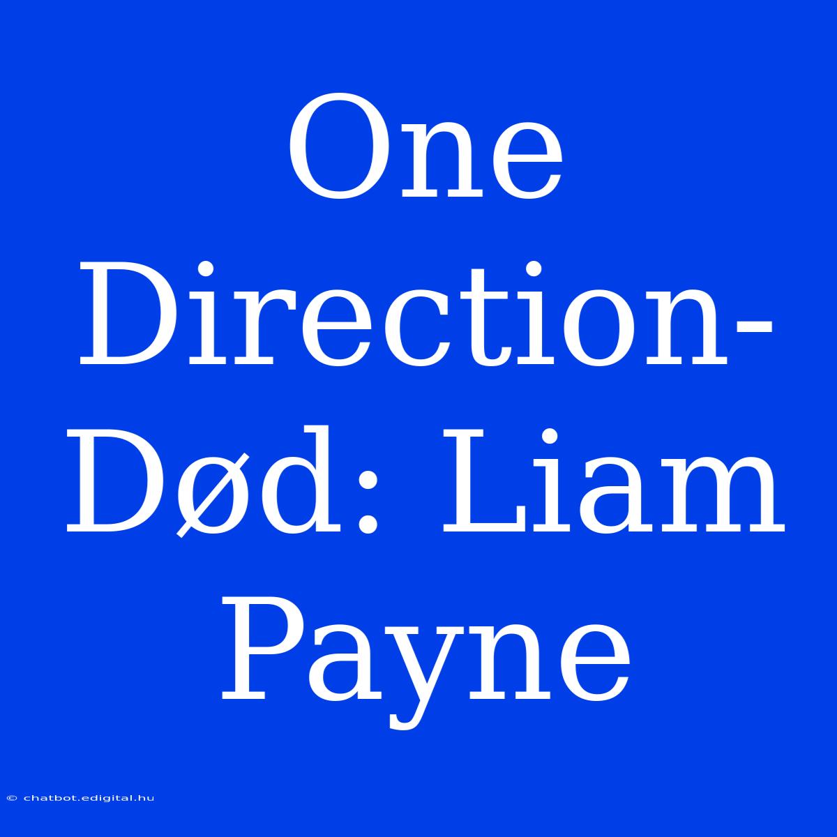 One Direction-Død: Liam Payne