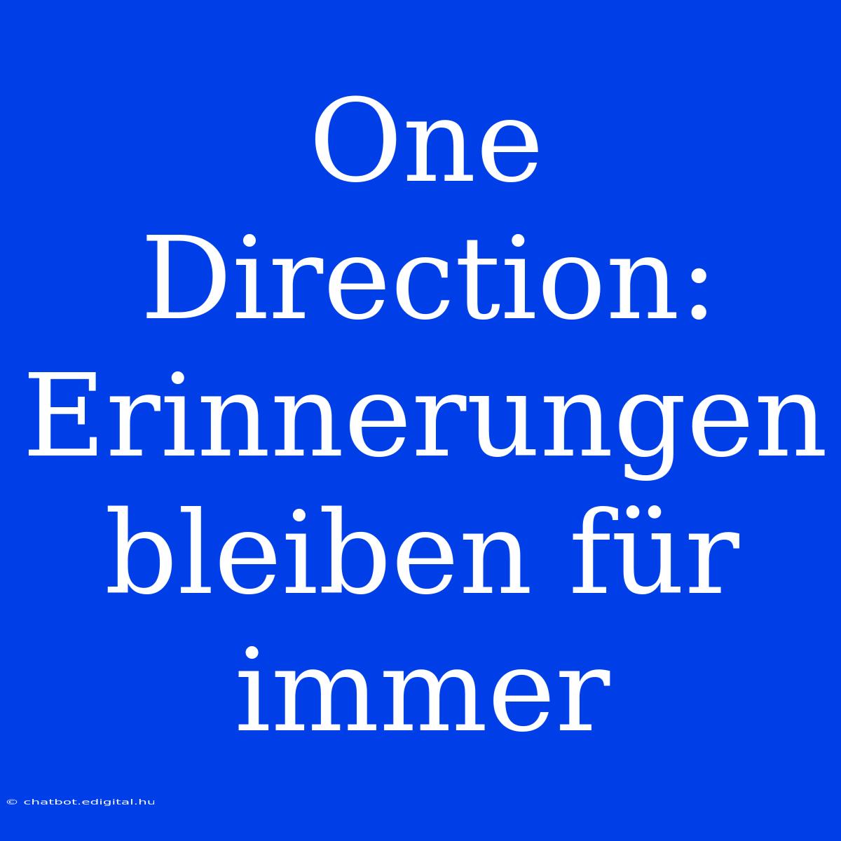 One Direction: Erinnerungen Bleiben Für Immer