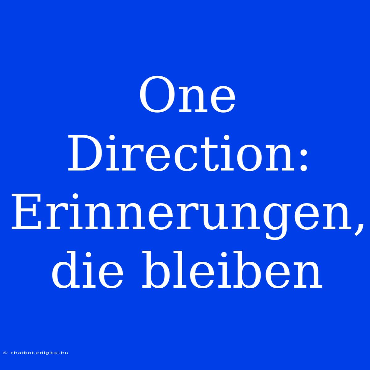 One Direction: Erinnerungen, Die Bleiben