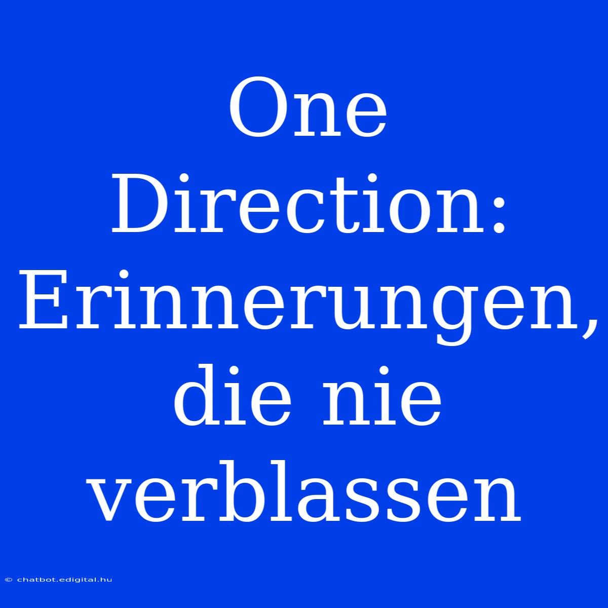 One Direction: Erinnerungen, Die Nie Verblassen