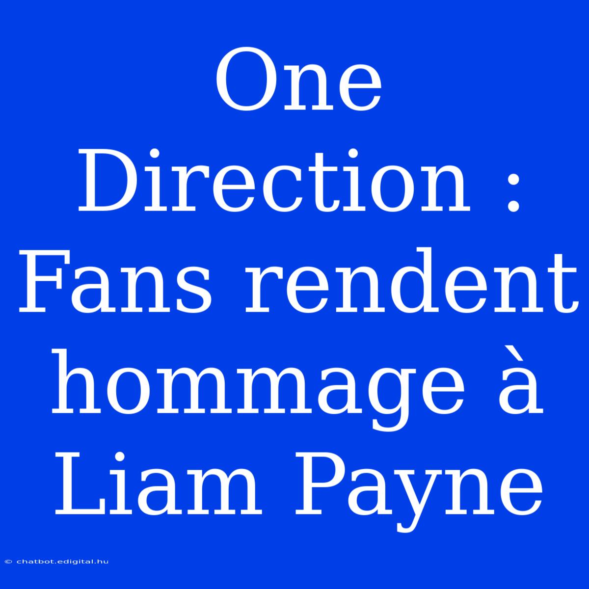 One Direction : Fans Rendent Hommage À Liam Payne