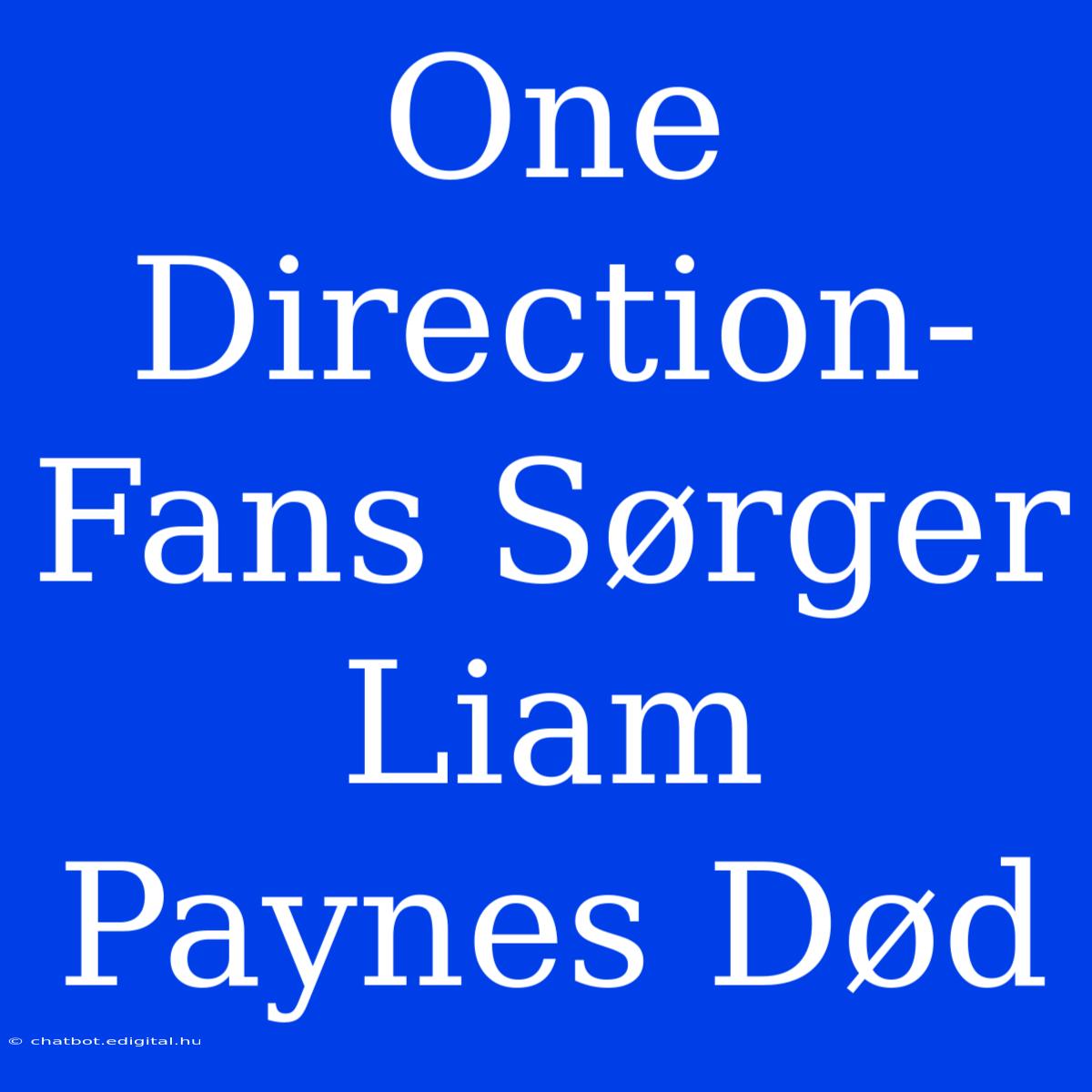 One Direction-Fans Sørger Liam Paynes Død