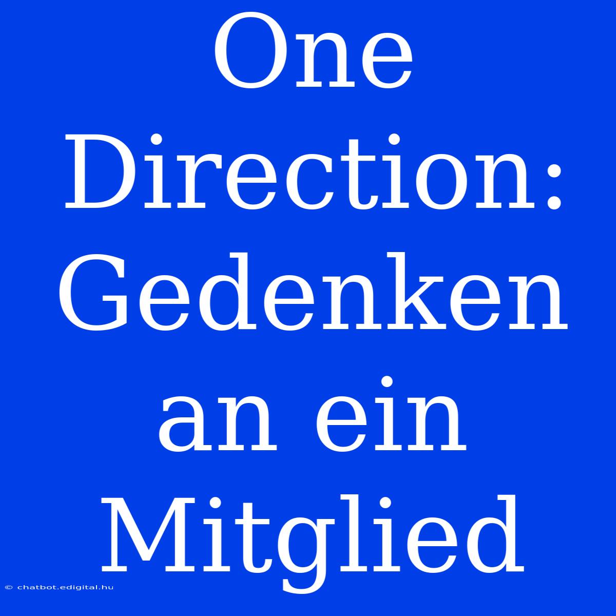 One Direction:  Gedenken An Ein Mitglied 