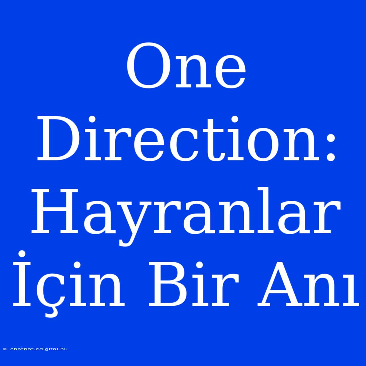 One Direction: Hayranlar İçin Bir Anı