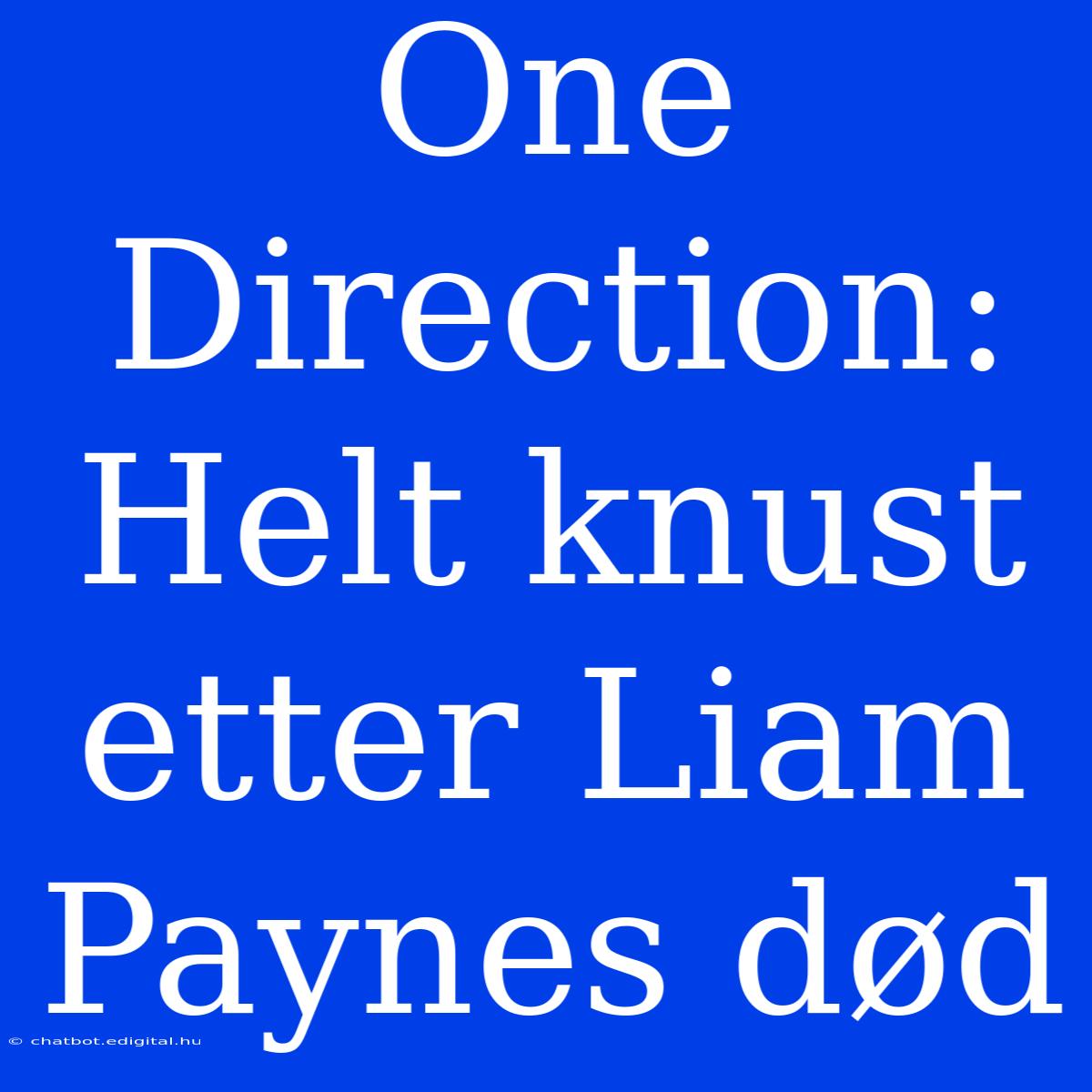 One Direction: Helt Knust Etter Liam Paynes Død