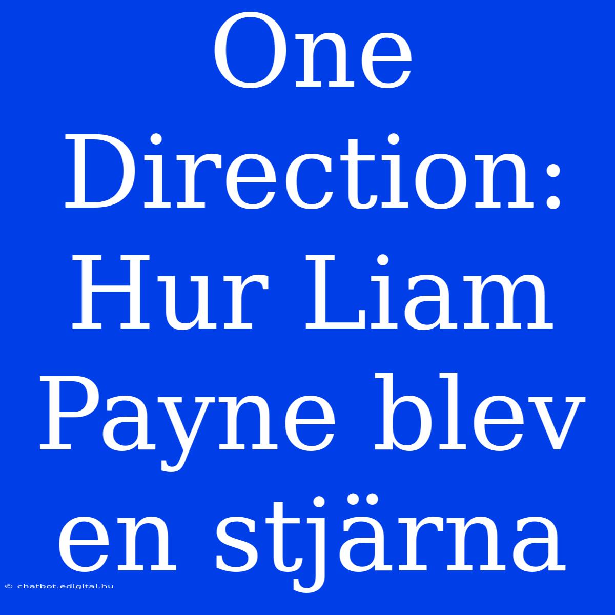 One Direction: Hur Liam Payne Blev En Stjärna