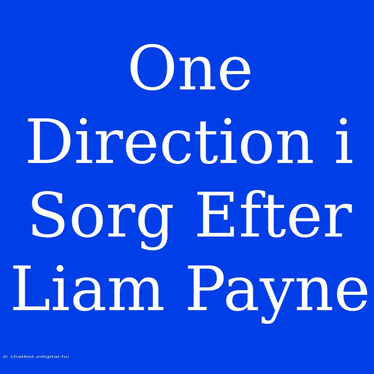 One Direction I Sorg Efter Liam Payne