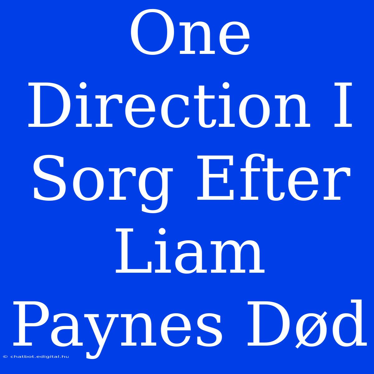 One Direction I Sorg Efter Liam Paynes Død 