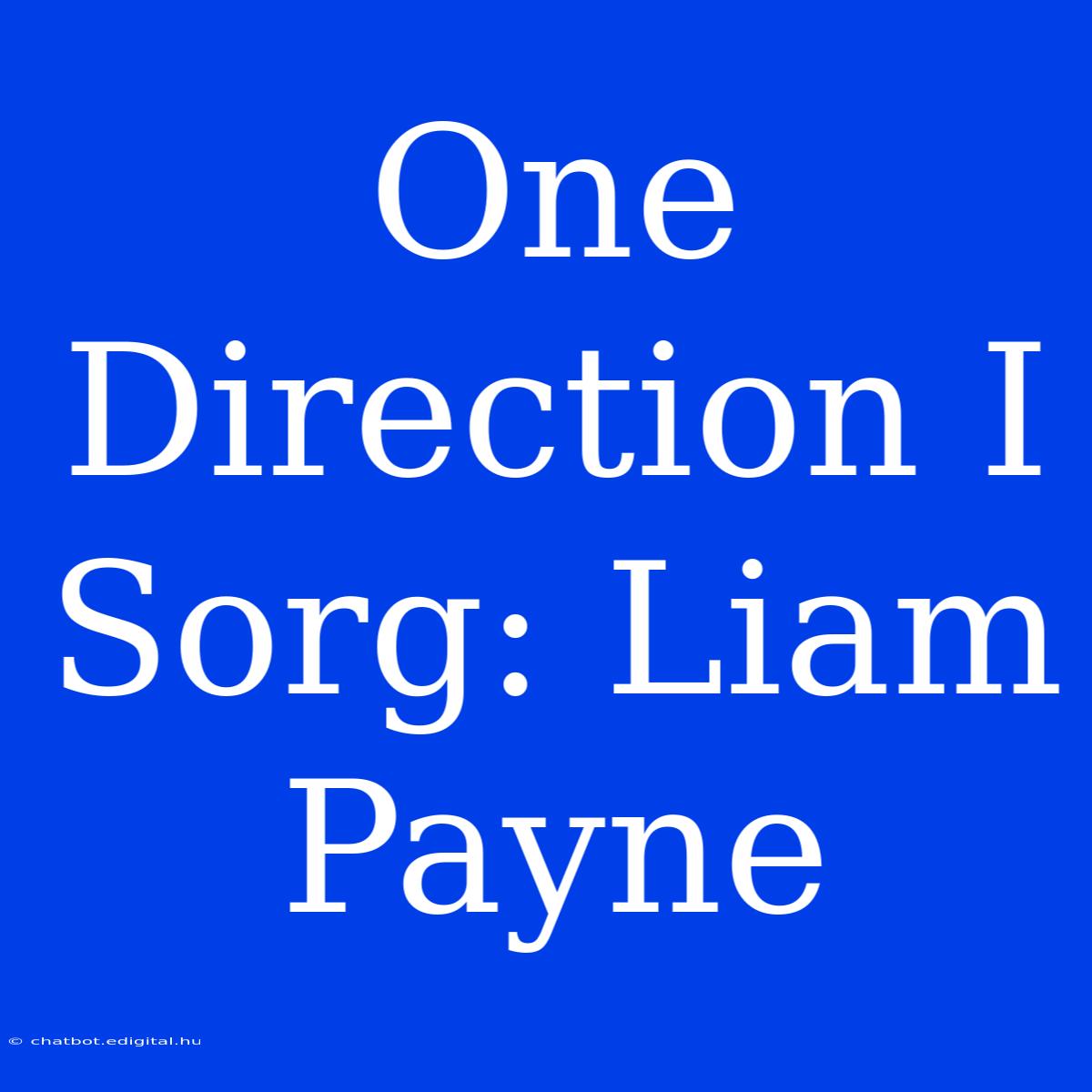 One Direction I Sorg: Liam Payne