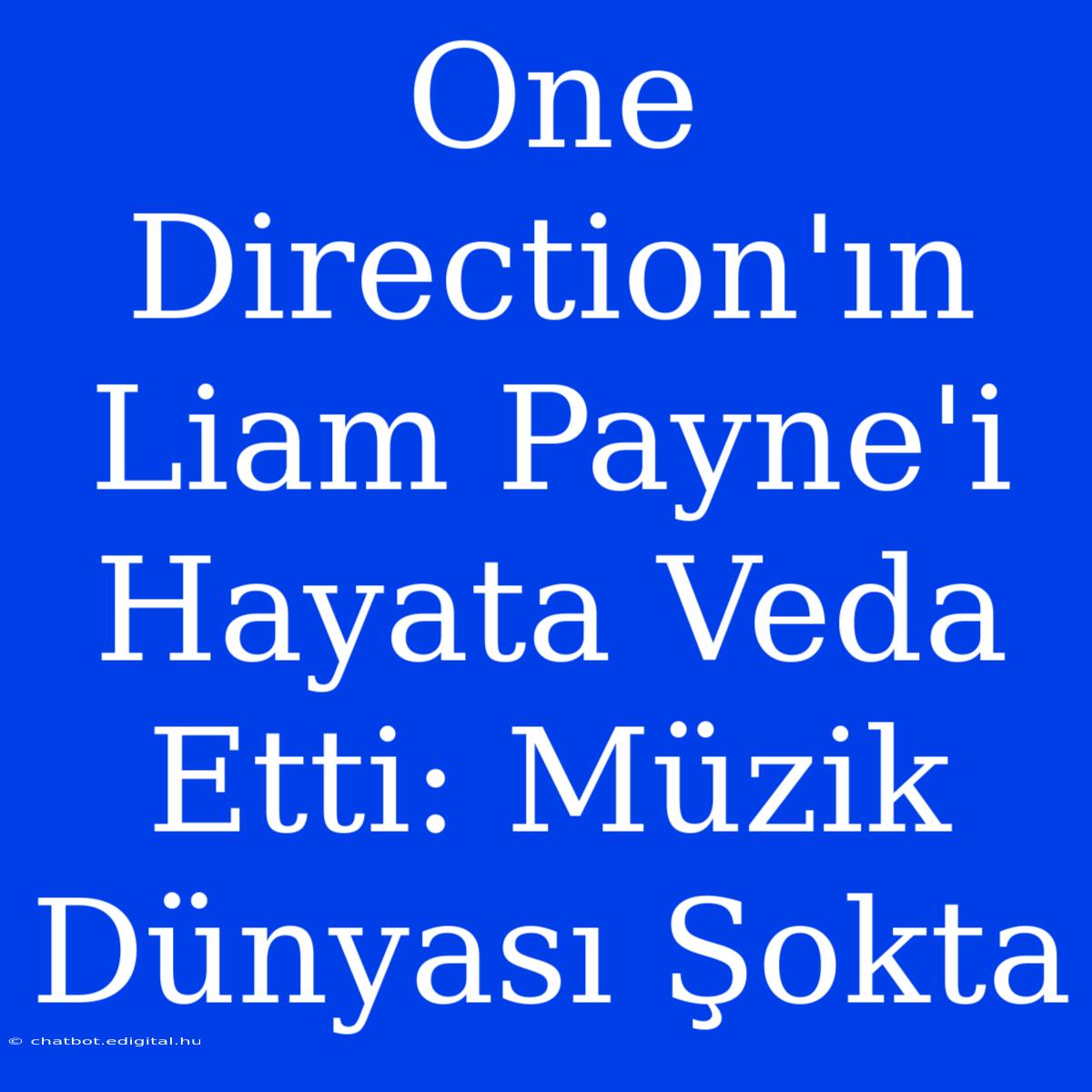 One Direction'ın Liam Payne'i Hayata Veda Etti: Müzik Dünyası Şokta