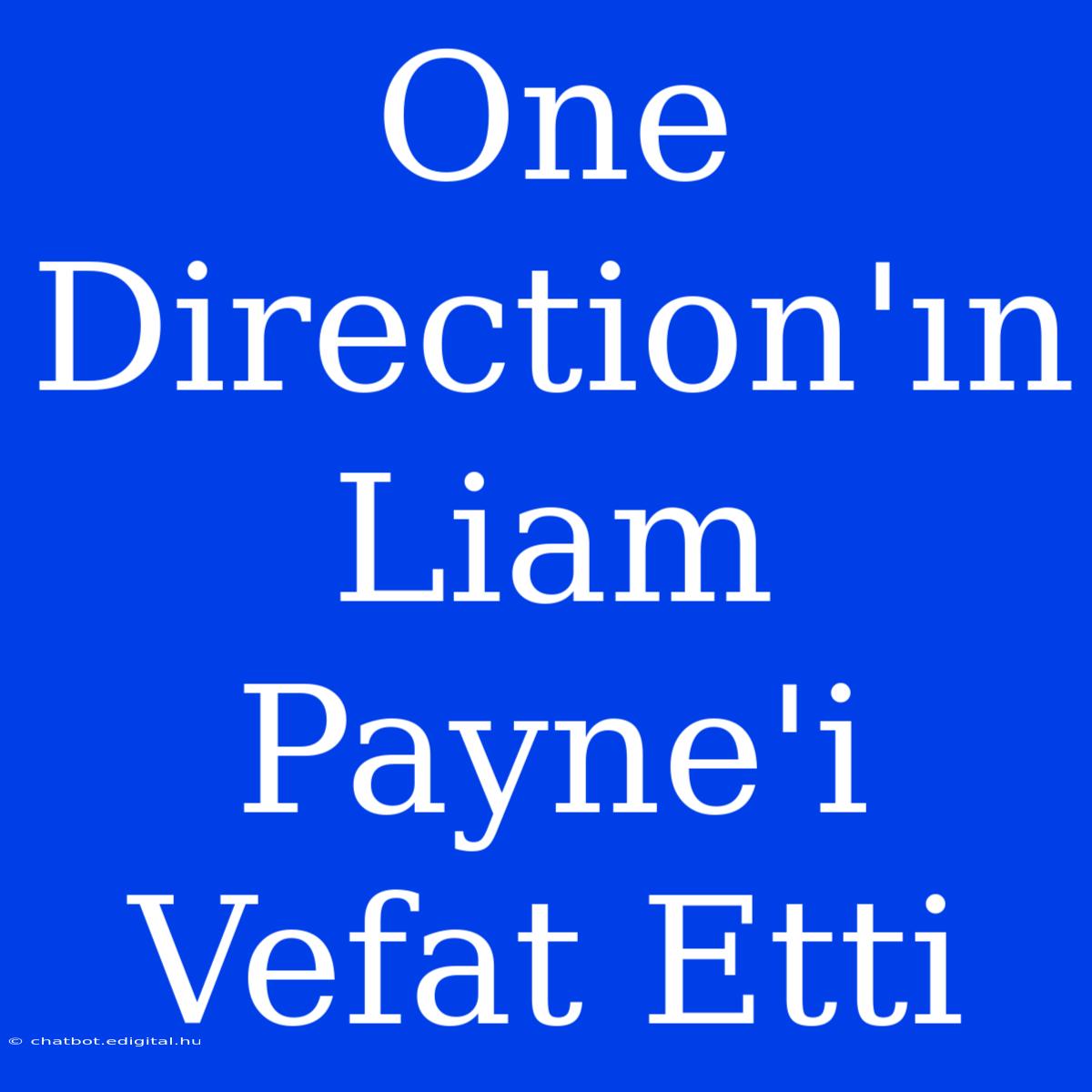 One Direction'ın Liam Payne'i Vefat Etti