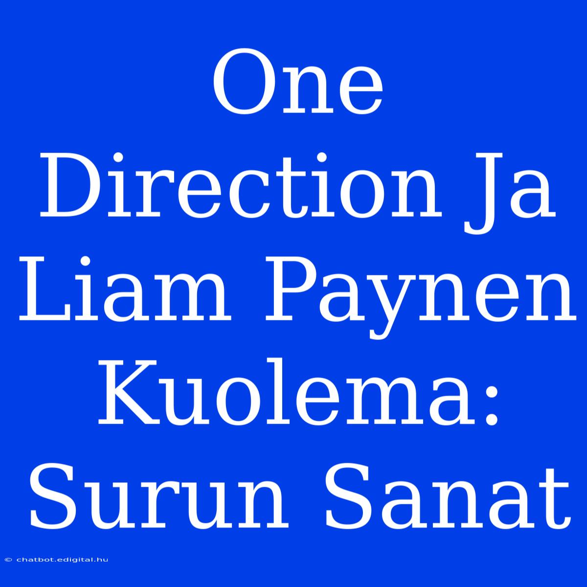 One Direction Ja Liam Paynen Kuolema: Surun Sanat