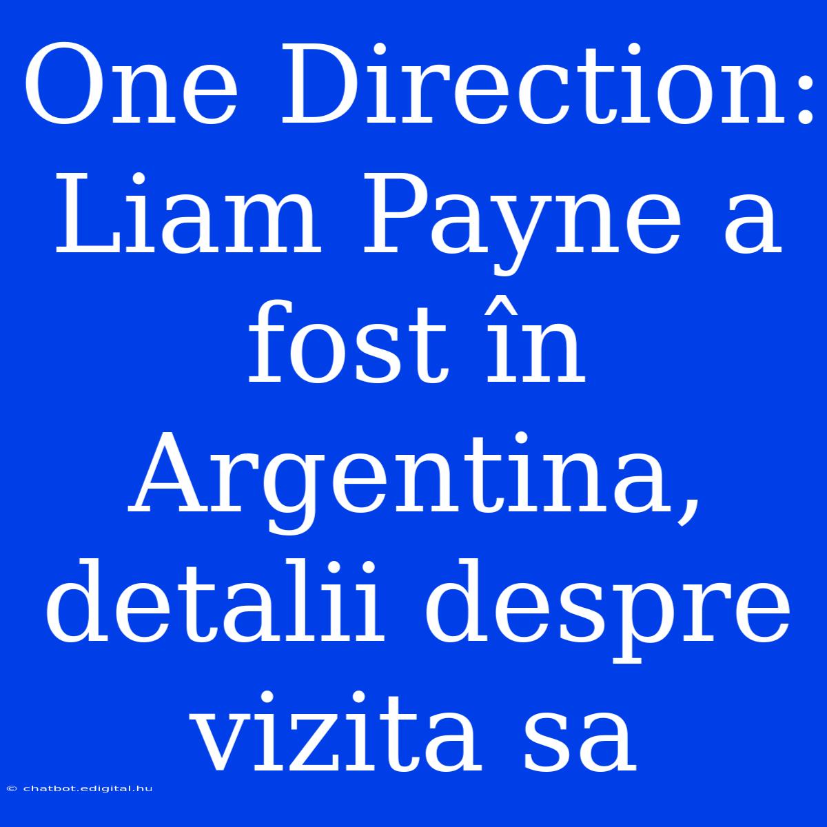 One Direction: Liam Payne A Fost În Argentina, Detalii Despre Vizita Sa