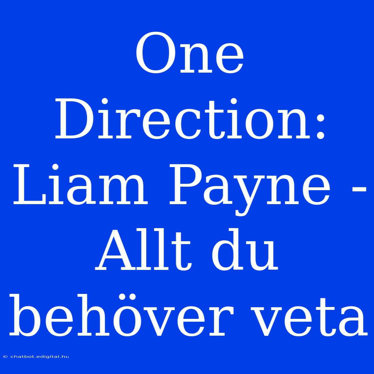 One Direction: Liam Payne - Allt Du Behöver Veta