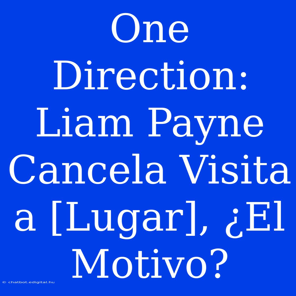 One Direction: Liam Payne Cancela Visita A [Lugar], ¿El Motivo?