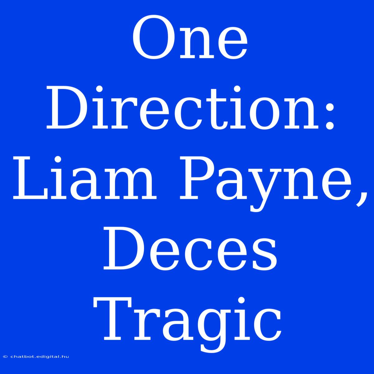 One Direction: Liam Payne, Deces Tragic