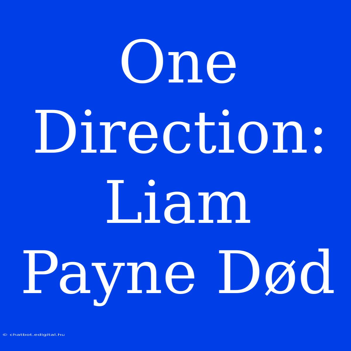 One Direction: Liam Payne Død 