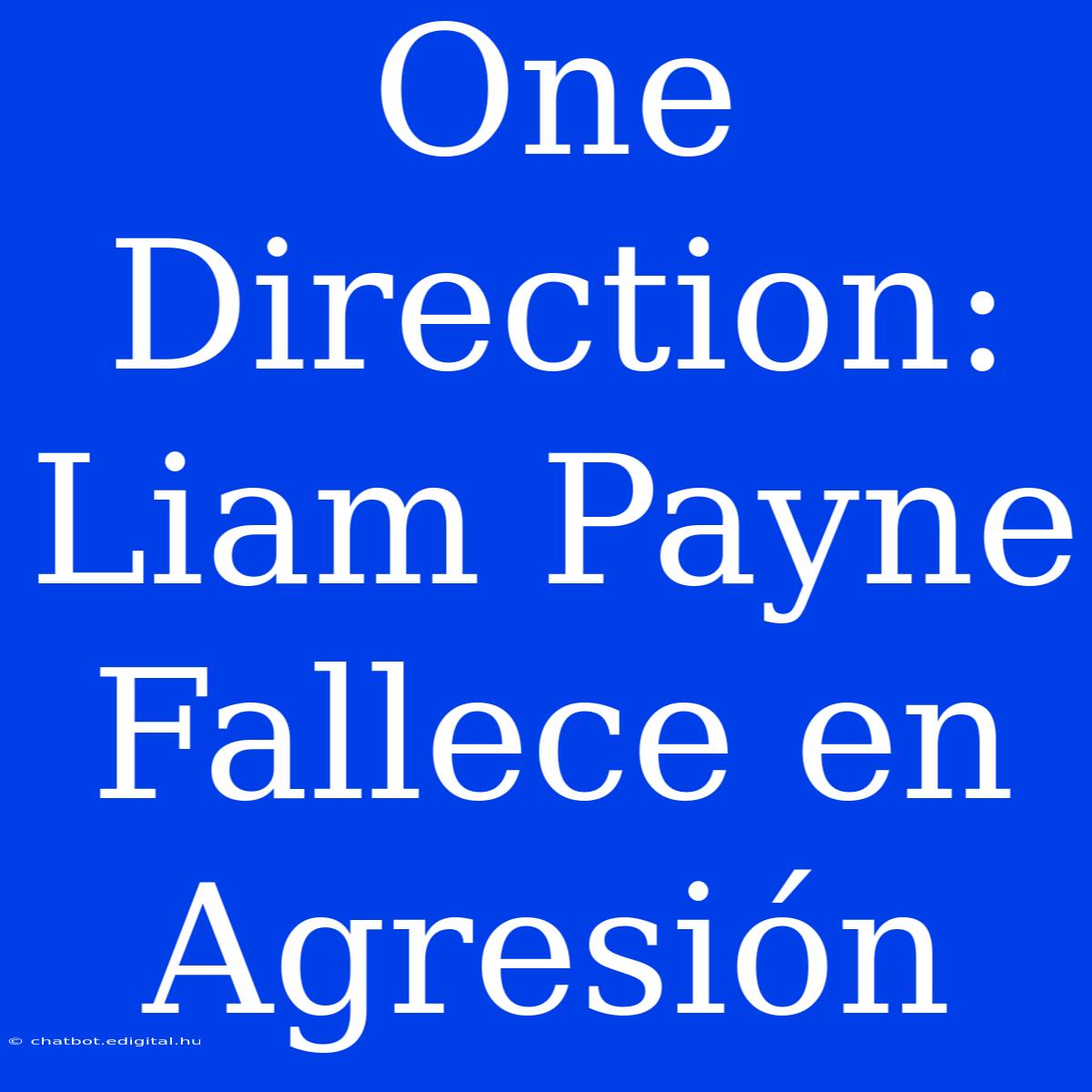 One Direction: Liam Payne Fallece En Agresión