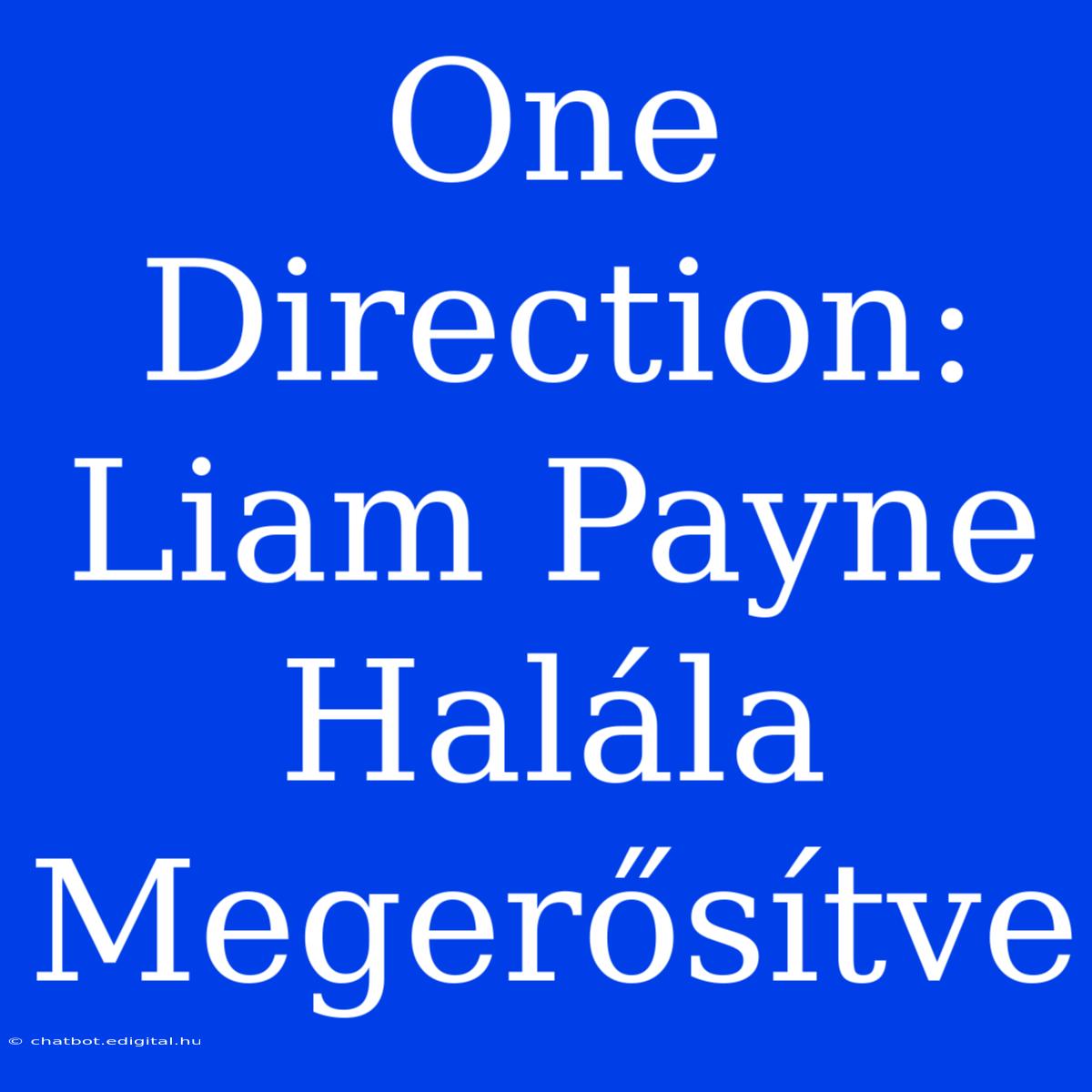 One Direction: Liam Payne Halála Megerősítve