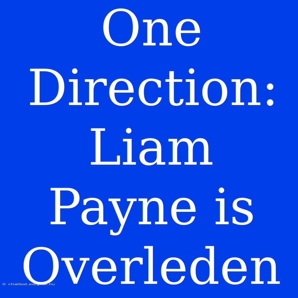 One Direction: Liam Payne Is Overleden