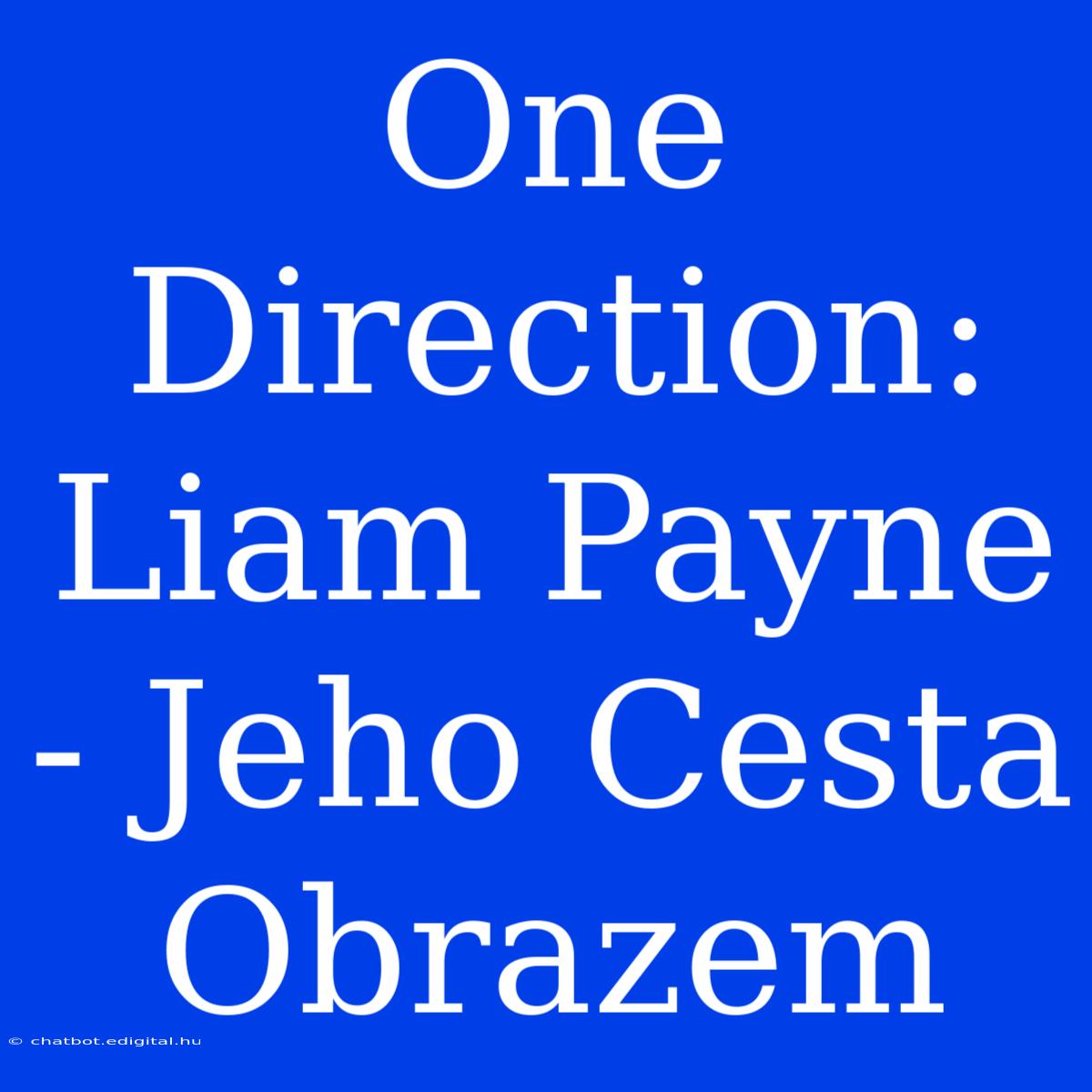 One Direction: Liam Payne - Jeho Cesta Obrazem