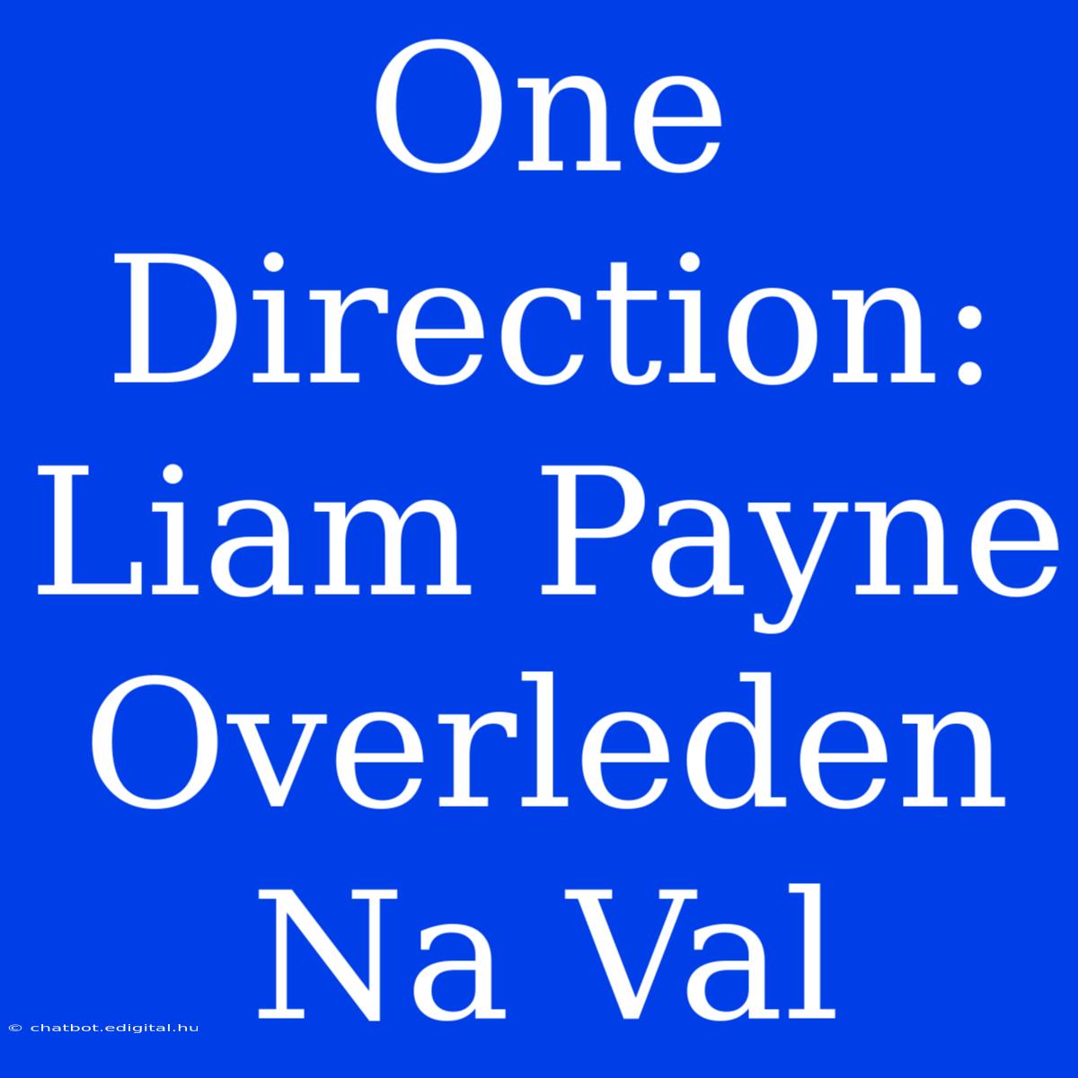 One Direction: Liam Payne Overleden Na Val